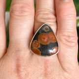 Peanut Obsidian (Perlite) Teardrop Cabochon Ring Size 7 KRGJ3348