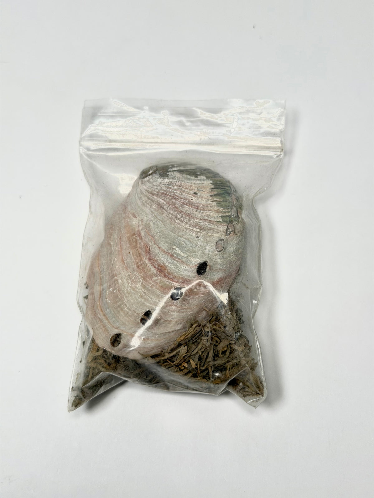Blue Sage & Abalone Shell Mini Smudge Kit