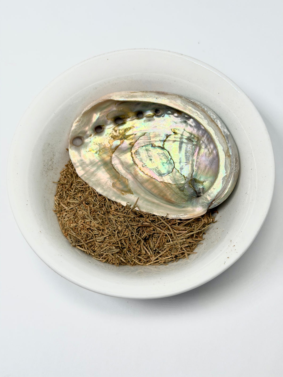 Desert Sage & Abalone Shell Mini Smudge Kit