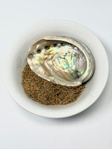 Desert Sage & Abalone Shell Mini Smudge Kit