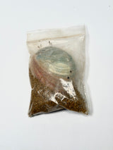 Desert Sage & Abalone Shell Mini Smudge Kit
