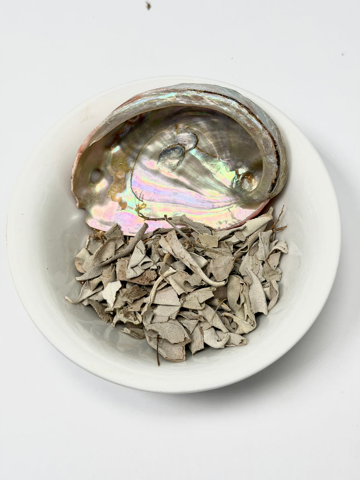 White Sage & Abalone Shell Mini Smudge Kit