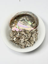 White Sage & Abalone Shell Mini Smudge Kit