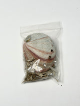 White Sage & Abalone Shell Mini Smudge Kit