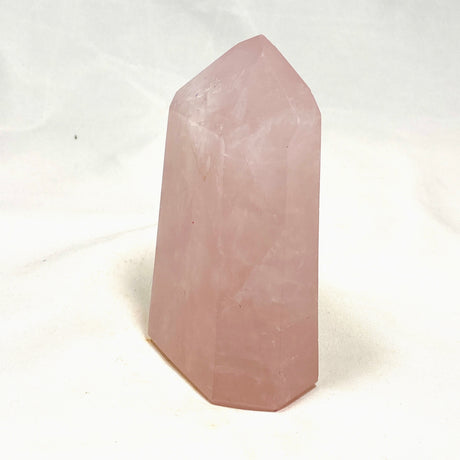 Rose Quartz Crystal CR3704