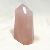 Rose Quartz Crystal CR3704