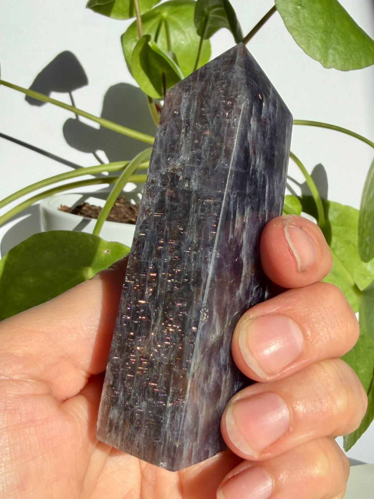 Close view of a sunstone in iolite point showing fine coppery-pink sparkle scattered across a deep violet-grey body
