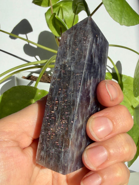 Close view of a sunstone in iolite point showing fine coppery-pink sparkle scattered across a deep violet-grey body