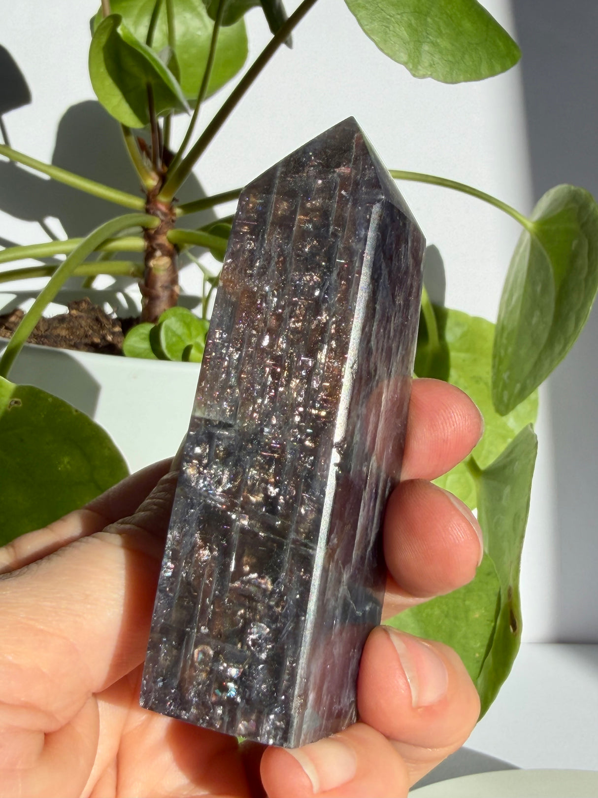 Sunstone in iolite point face showing dense vertical striations and scattered coppery sparkle across a dark violet-grey body