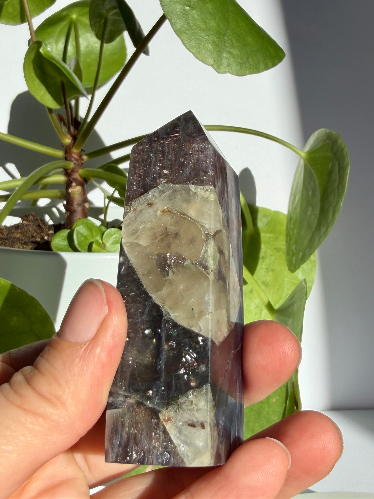 Close view of the sunstone in iolite tip, where a dark striated cap gives way to a large pale smoky quartz-like inclusion filling the lower face