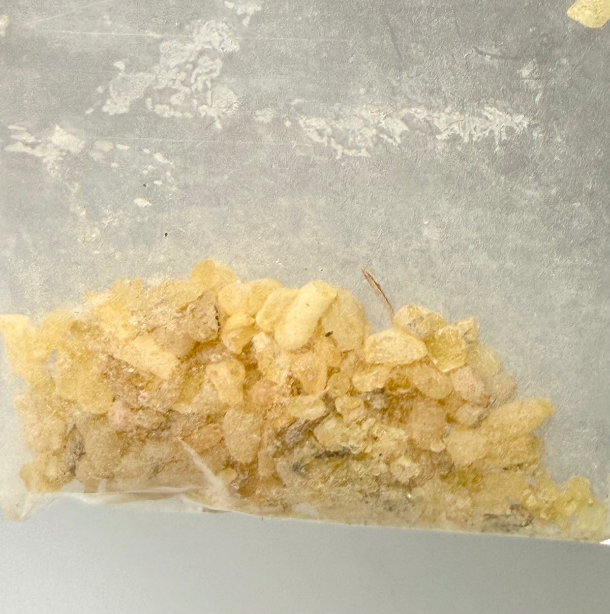 Sandarac Resin Incense Granules 5g Packet