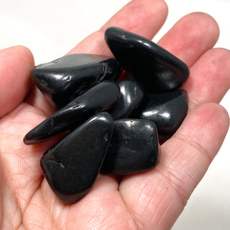 Shungite Tumbled Stone