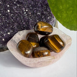 Five polished tiger's eye stones with brown and gold bands, resting in a small translucent pink crystal dish. The dish is placed on a white surface, with a purple crystal cluster on the left and a green leaf on the right.