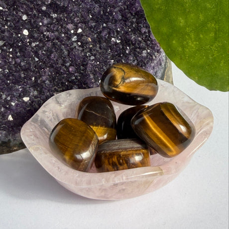 Five polished tiger's eye stones with brown and gold bands, resting in a small translucent pink crystal dish. The dish is placed on a white surface, with a purple crystal cluster on the left and a green leaf on the right.