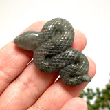 African bloodstone slithering snake ABSN-01