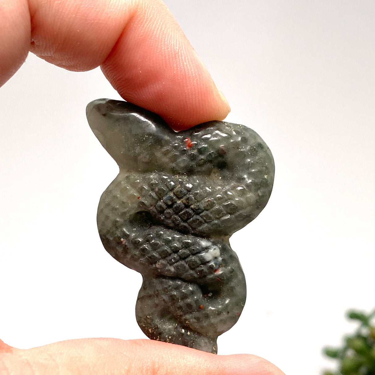 African bloodstone slithering snake ABSN-01