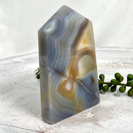 Agate slab point ASP-04 - Nature's Magick