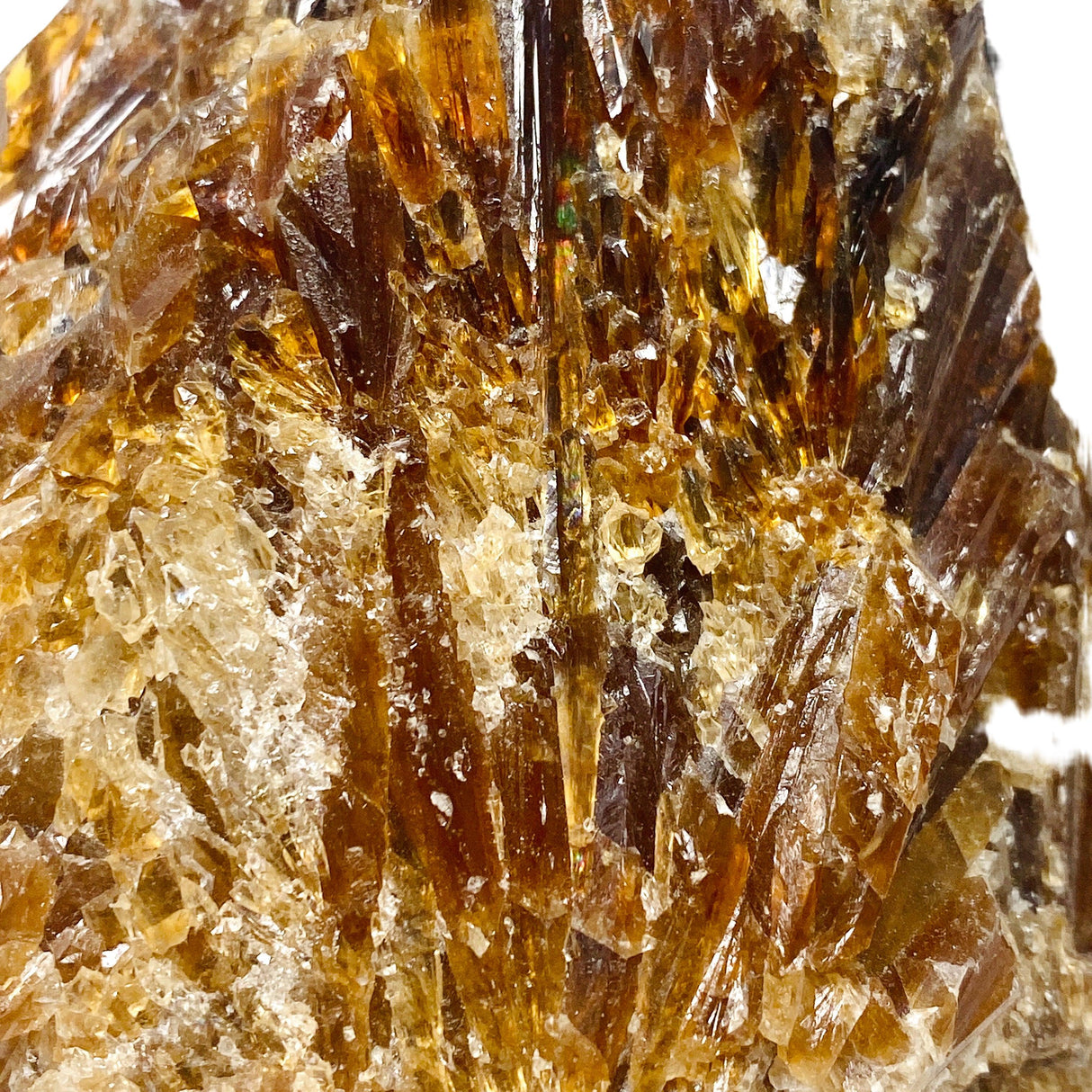 Amber Calcite specimen AMCA-05 - Nature's Magick