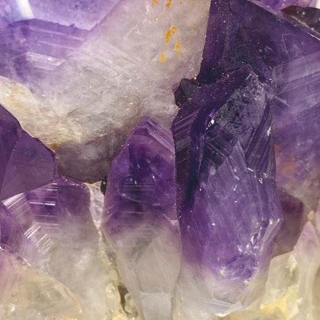 Amethyst Cluster AMC-03 - Nature's Magick