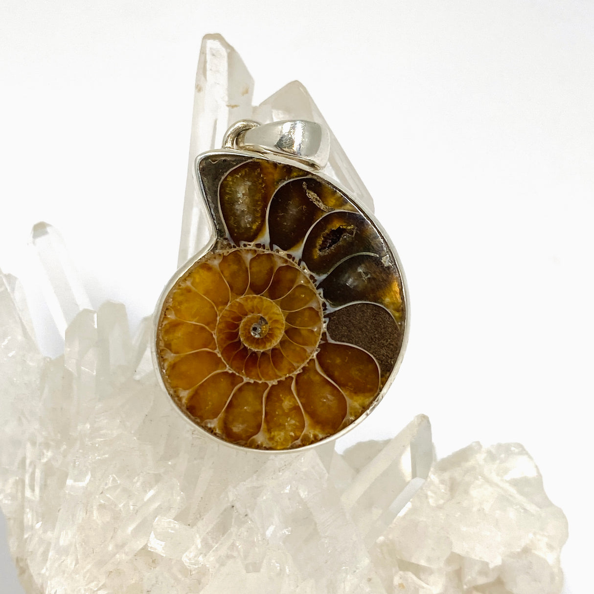 Ammonite Fossilised Shell Pendant PPGJ1321