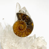 Ammonite Fossilised Shell Pendant PPGJ1321