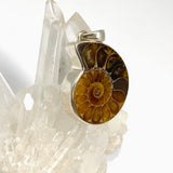 Ammonite Fossilised Shell Pendant PPGJ1321