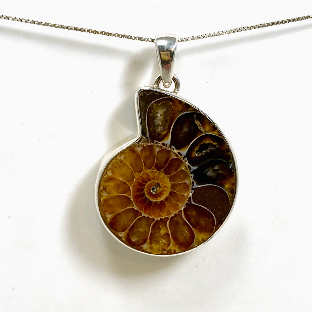 Ammonite Fossilised Shell Pendant PPGJ1321