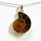 Ammonite Fossilised Shell Pendant PPGJ1321