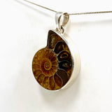 Ammonite Fossilised Shell Pendant PPGJ1321