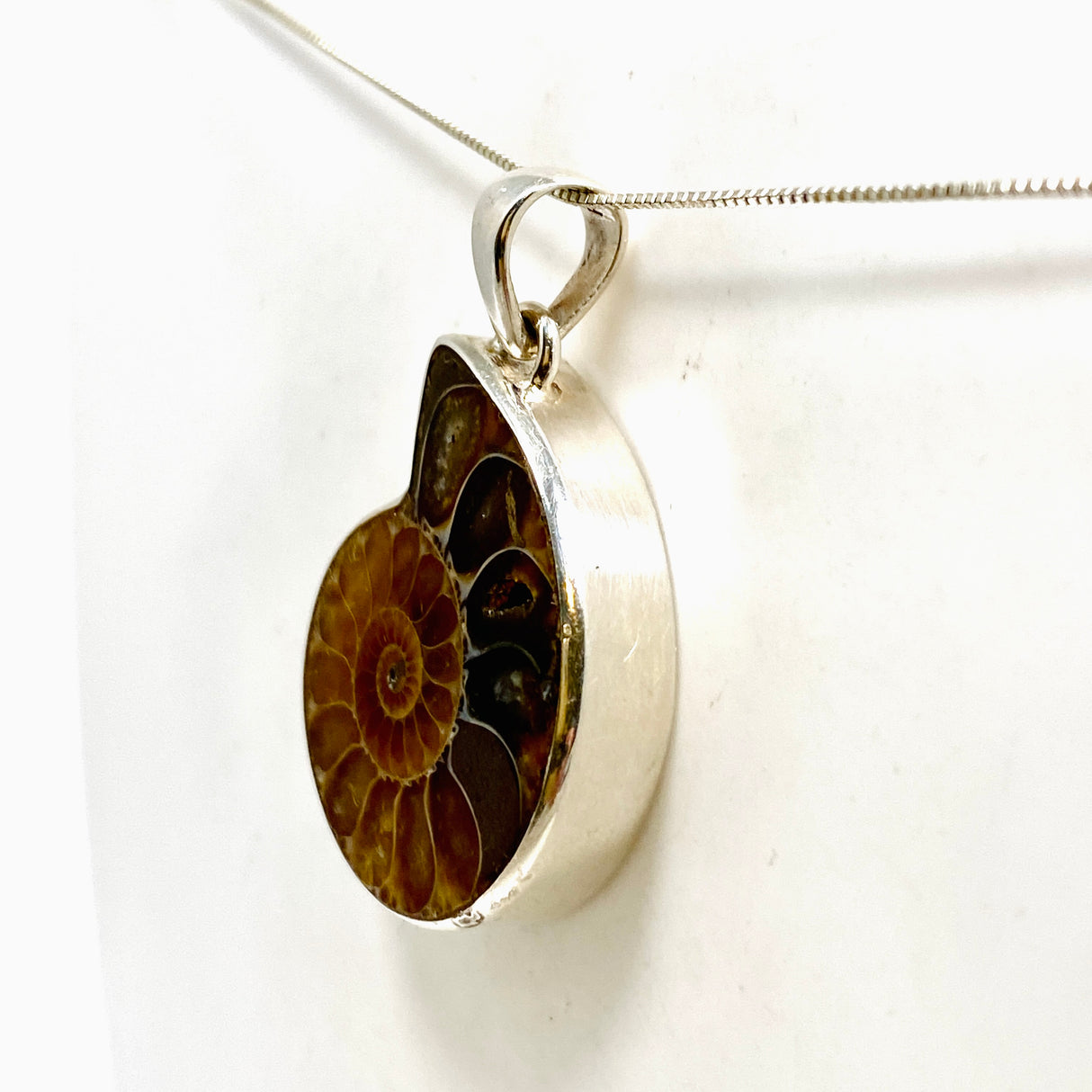 Ammonite Fossilised Shell Pendant PPGJ1321