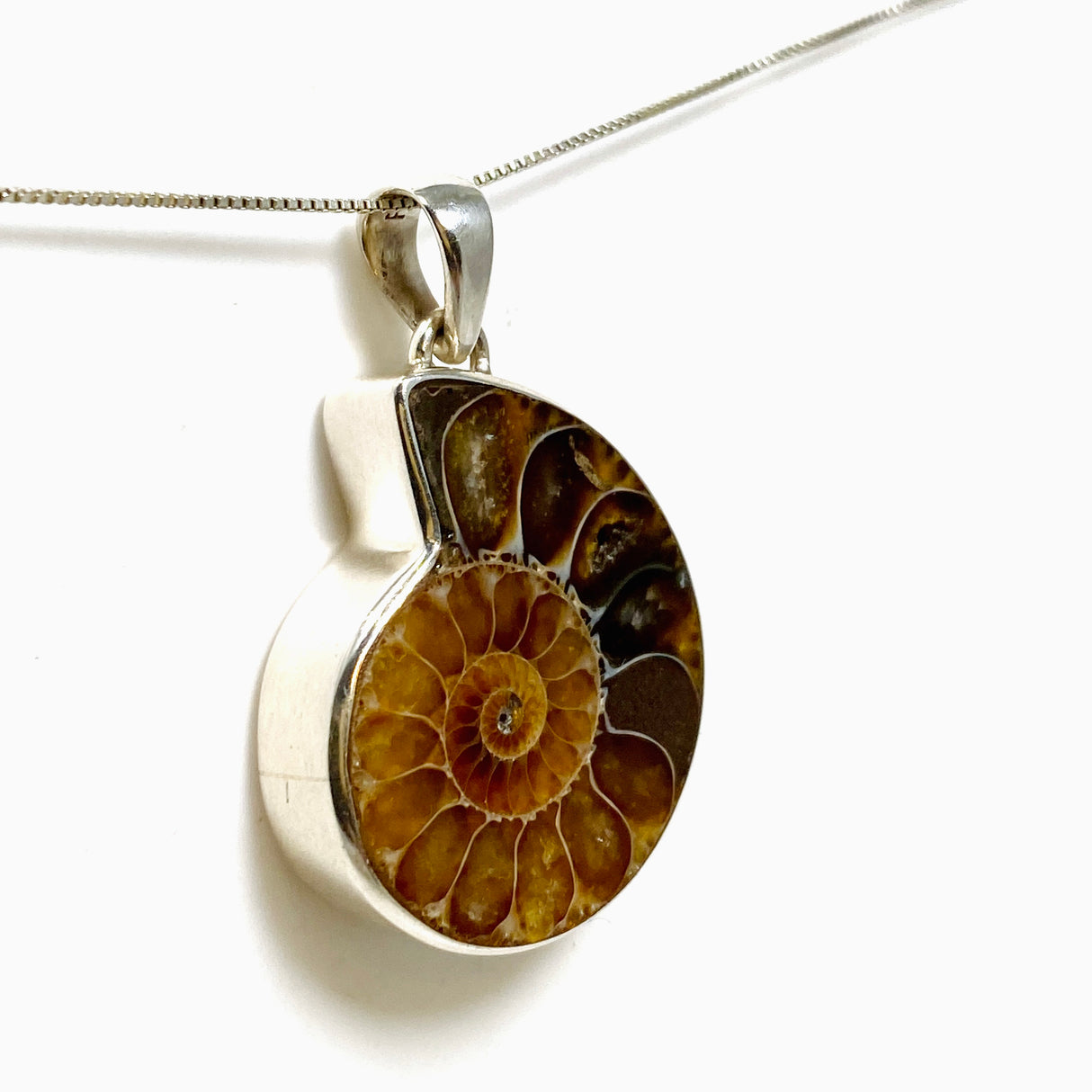 Ammonite Fossilised Shell Pendant PPGJ1321