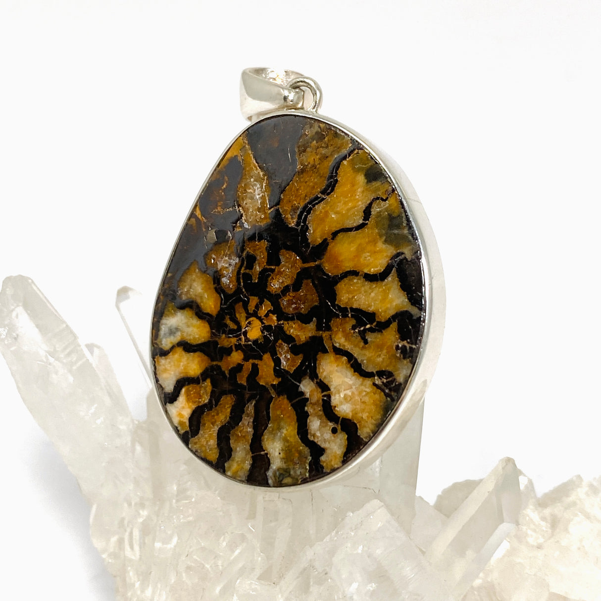 Ammonite Fossilised Shell Pendant PPGJ1322