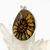 Ammonite Fossilised Shell Pendant PPGJ1322