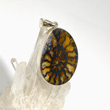 Ammonite Fossilised Shell Pendant PPGJ1322