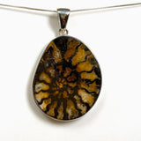 Ammonite Fossilised Shell Pendant PPGJ1322