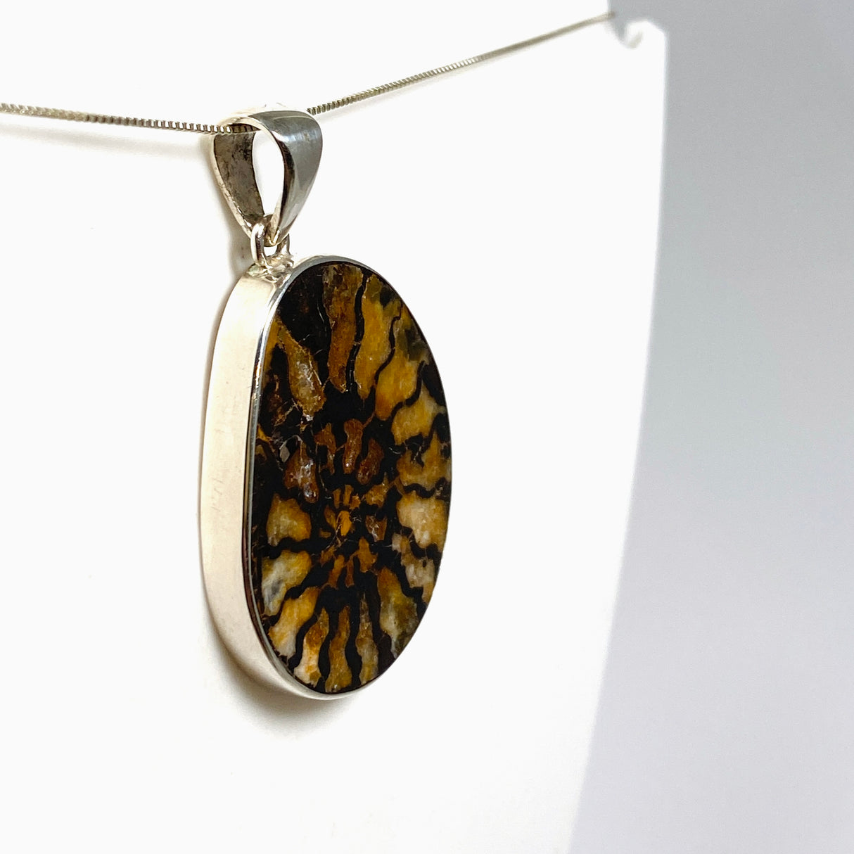 Ammonite Fossilised Shell Pendant PPGJ1322