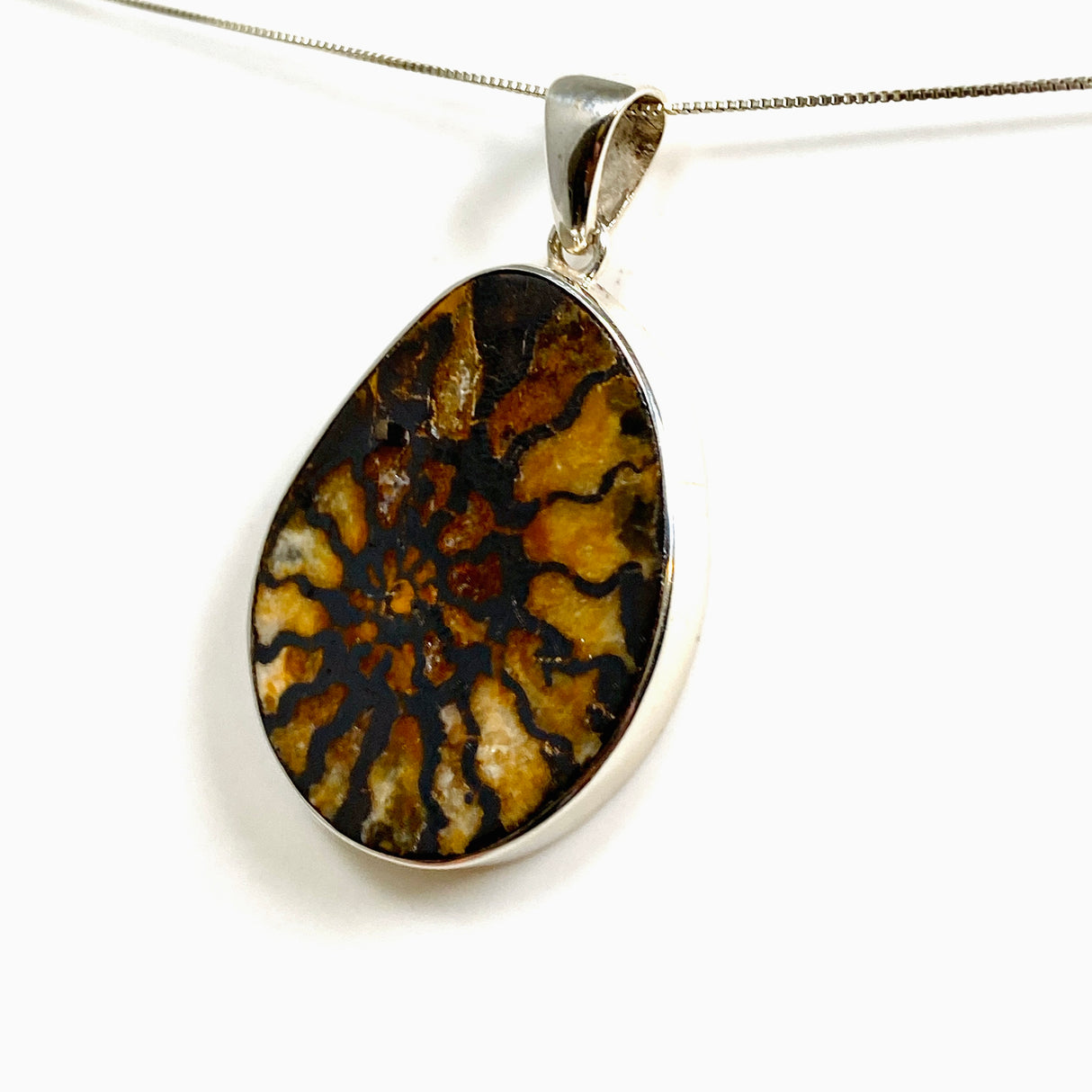 Ammonite Fossilised Shell Pendant PPGJ1322