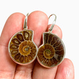 Ammonite Fossilised Shell Earring PEGJ414