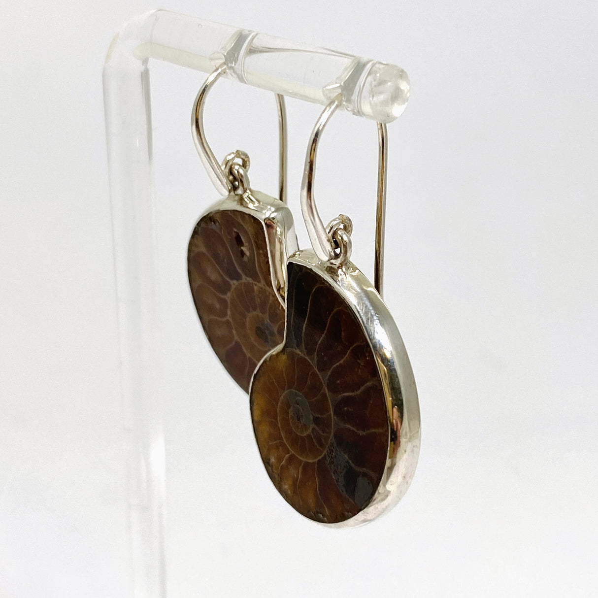 Ammonite Fossilised Shell Earring PEGJ414