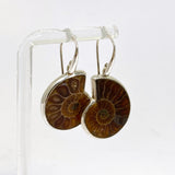 Ammonite Fossilised Shell Earring PEGJ414