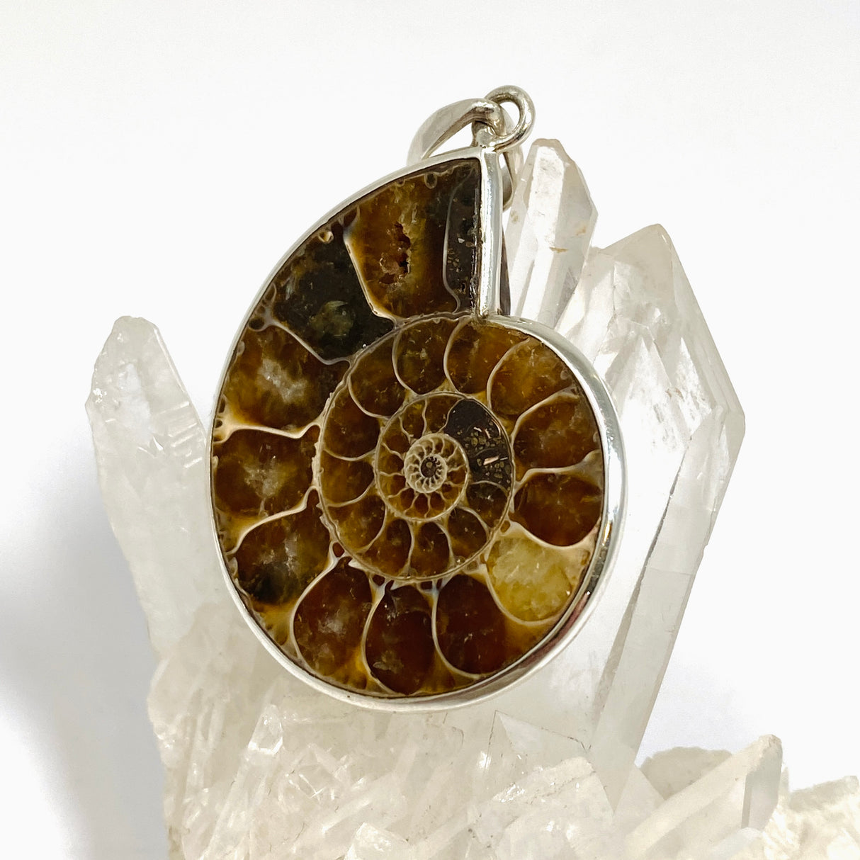 Ammonite Fossilised Shell Pendant PPGJ1320