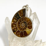Ammonite Fossilised Shell Pendant PPGJ1320