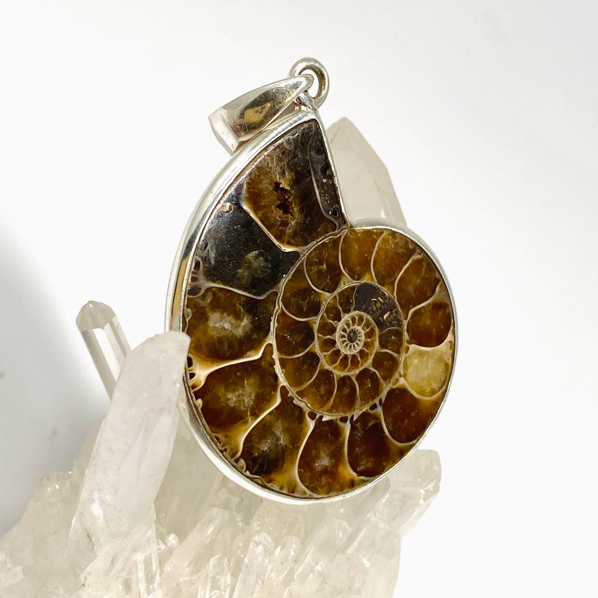 Ammonite Fossilised Shell Pendant PPGJ1320