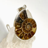 Ammonite Fossilised Shell Pendant PPGJ1320