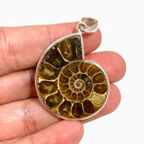 Ammonite Fossilised Shell Pendant PPGJ1320