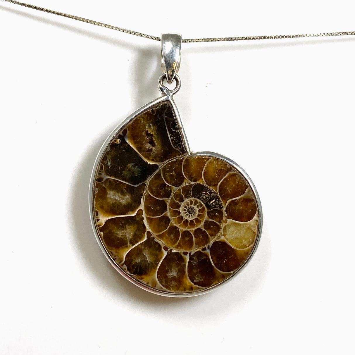 Ammonite Fossilised Shell Pendant PPGJ1320