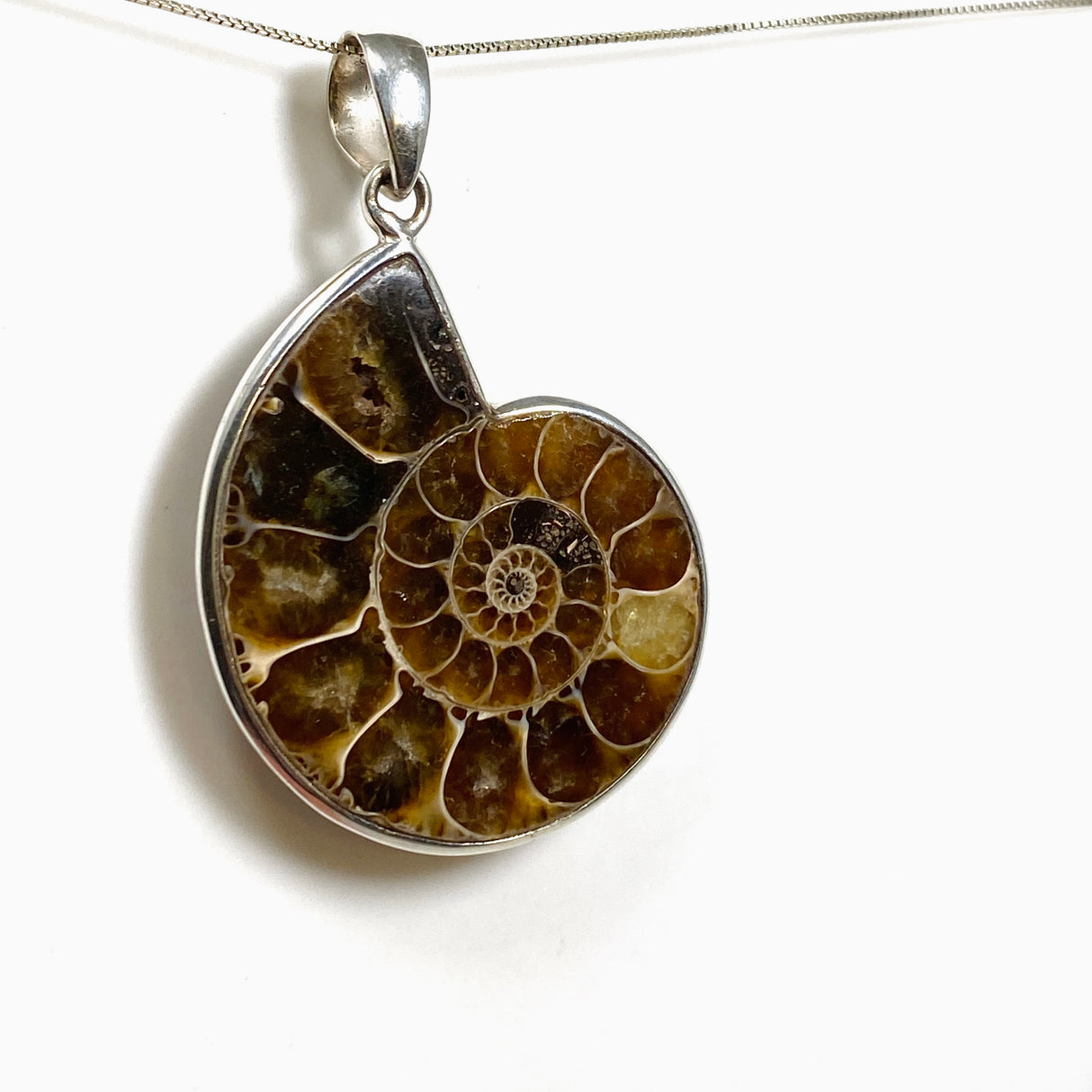 Ammonite Fossilised Shell Pendant PPGJ1320