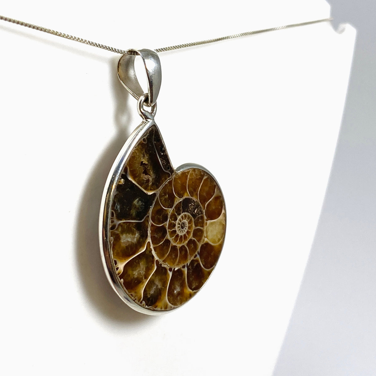 Ammonite Fossilised Shell Pendant PPGJ1320