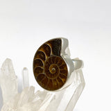 Ammonite Fossilised Shell Ring Size 9 PRGJ1038