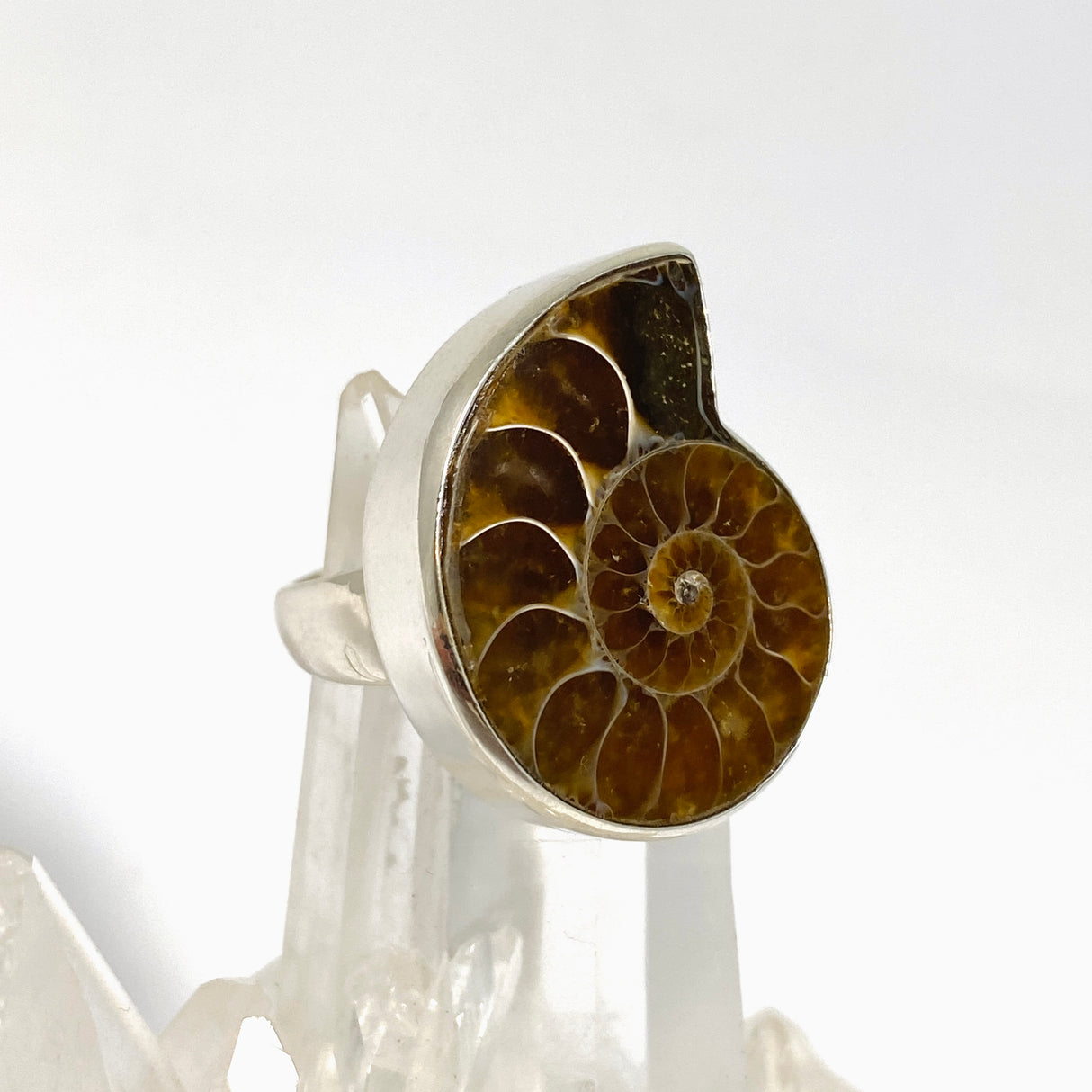 Ammonite Fossilised Shell Ring Size 9 PRGJ1038